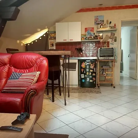 Confortable En Centre-ville + Parking Prive + Cour * Angers